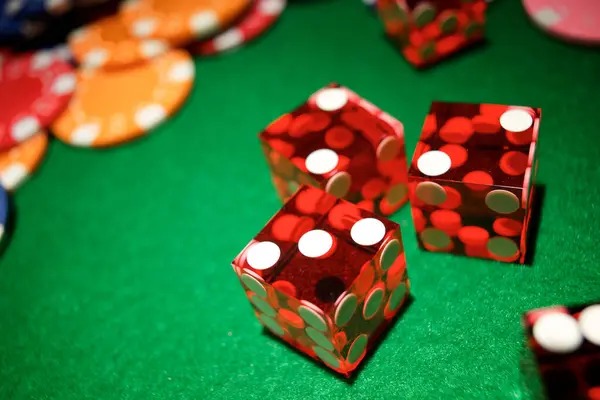 togel togel Our Terms & Conditions